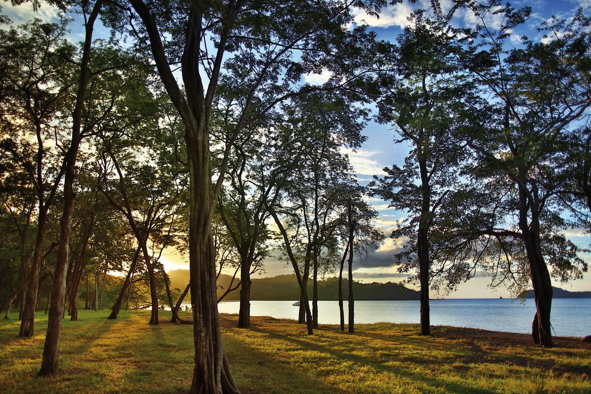 Hotel El Mangroove, Autograph Collection, Costa Rica, San José, Guanacaste, Bild 15