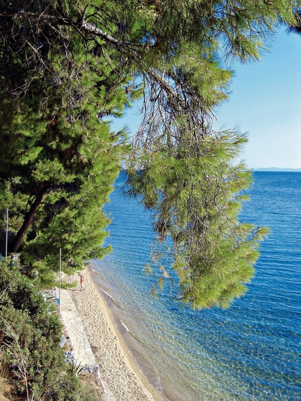 Hotel Virginia, Griechenland, Chalkidiki, Elia, Bild 1