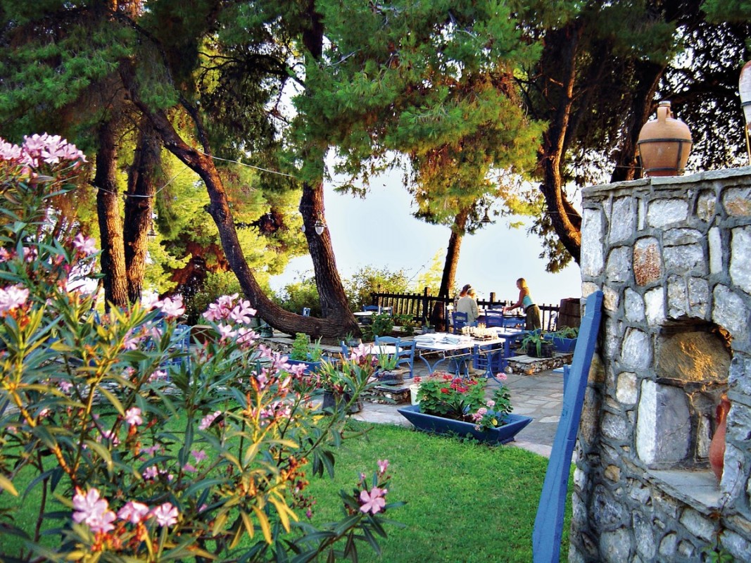 Hotel Virginia, Griechenland, Chalkidiki, Elia, Bild 2