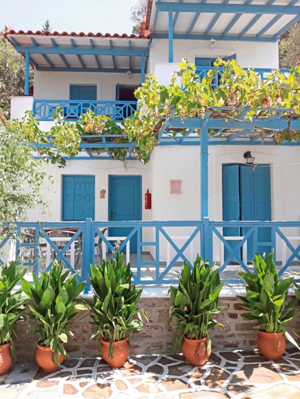 Hotel Blue Horizon, Griechenland, Samos, Psili Amos, Bild 5