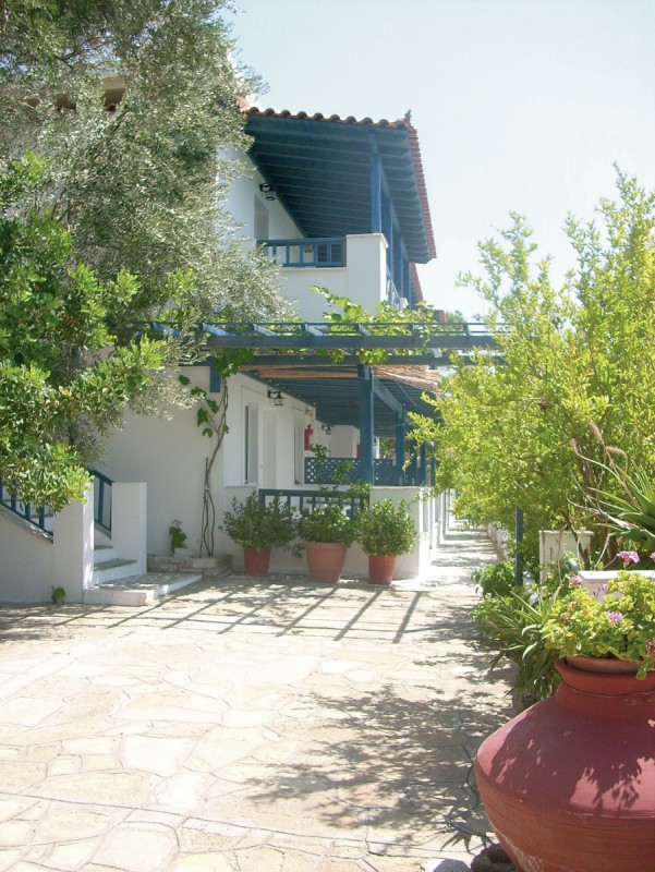 Hotel Blue Horizon, Griechenland, Samos, Psili Amos, Bild 8