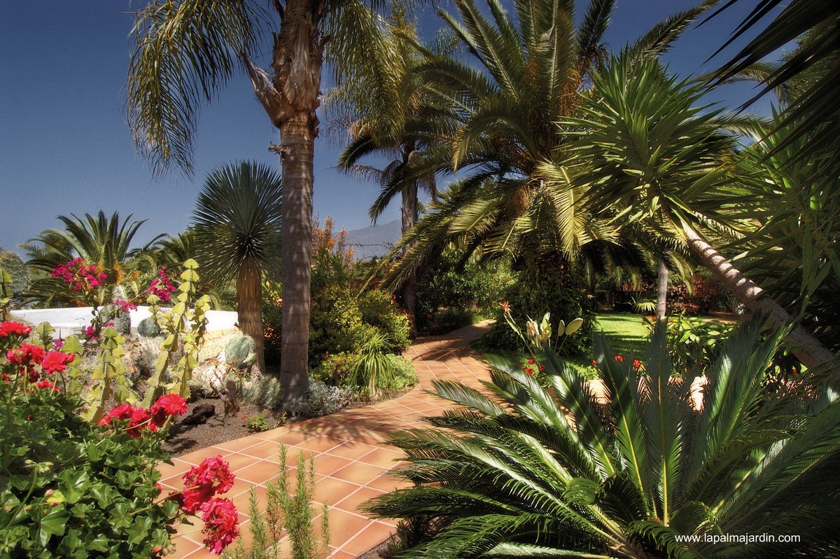 Hotel La Palma Jardin, Spanien, La Palma, Los Llanos de Aridane, Bild 6