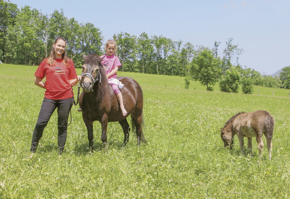 Hotel Feriendorf Ponyhof, Österreich, Salzburger Land, Fusch an der Großglocknerstraße, Bild 10
