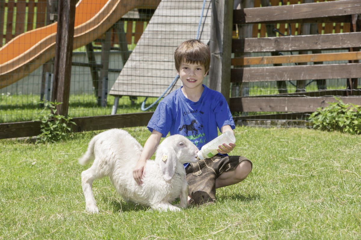 Hotel Feriendorf Ponyhof, Österreich, Salzburger Land, Fusch an der Großglocknerstraße, Bild 9