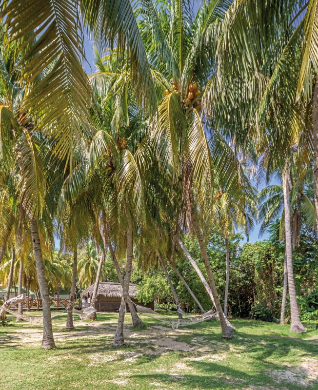 Hotel Sol Palmeras, Kuba, Varadero, Bild 8