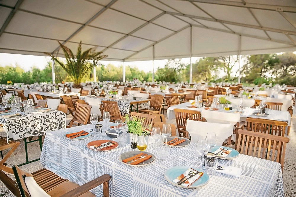 Hotel Obonjan Island Resort, Kroatien, Nordadriatische Inseln, Insel Obonjan, Bild 6