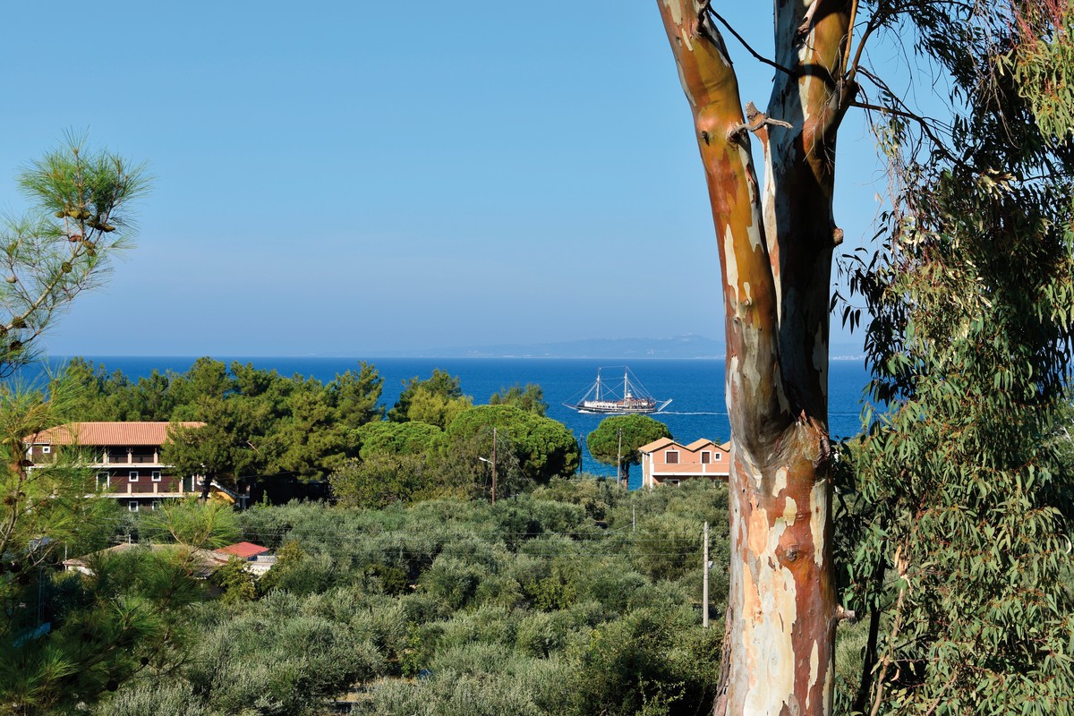Hotel Olivenhain Arazzo, Griechenland, Zakynthos, Vassilikos, Bild 5