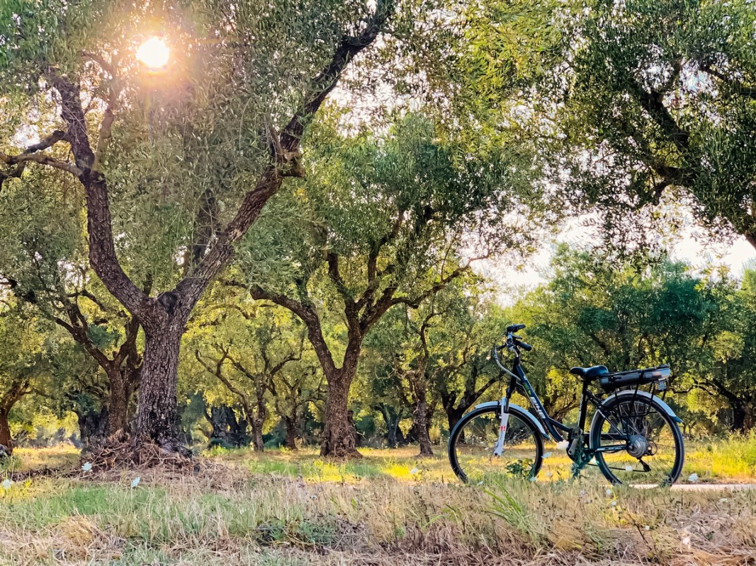 Castelli Hotel, Griechenland, Zakynthos, Agios Sostis, Bild 5