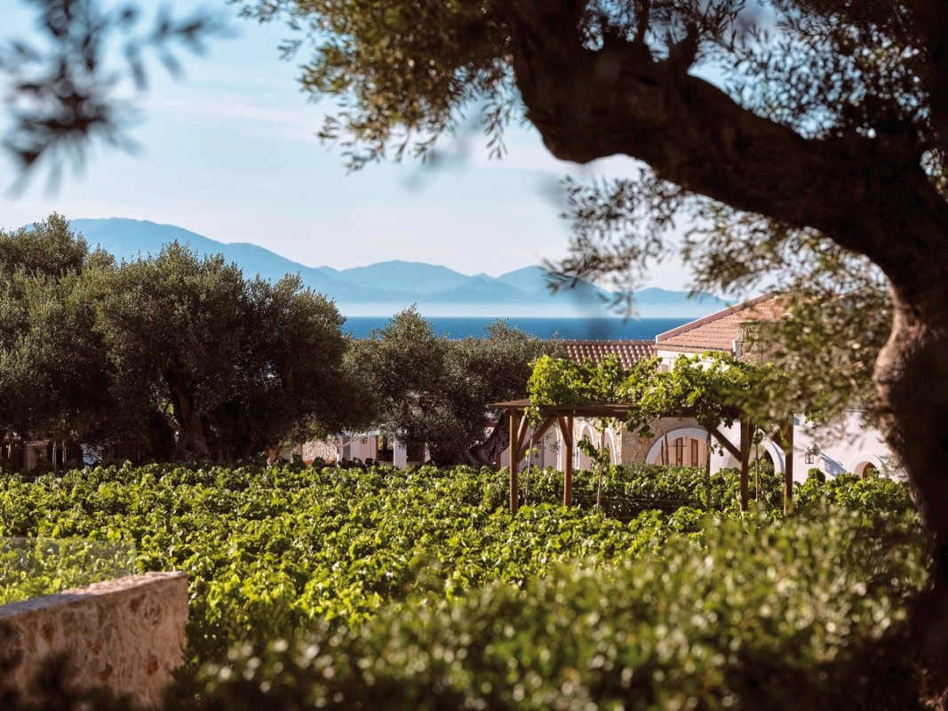 Lesante Cape - The Leading Hotels of the World, Griechenland, Zakynthos, Akrotiri, Bild 6